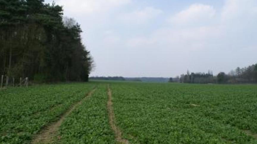 17 hectare landbouwgrond verdwijnt door bebossing